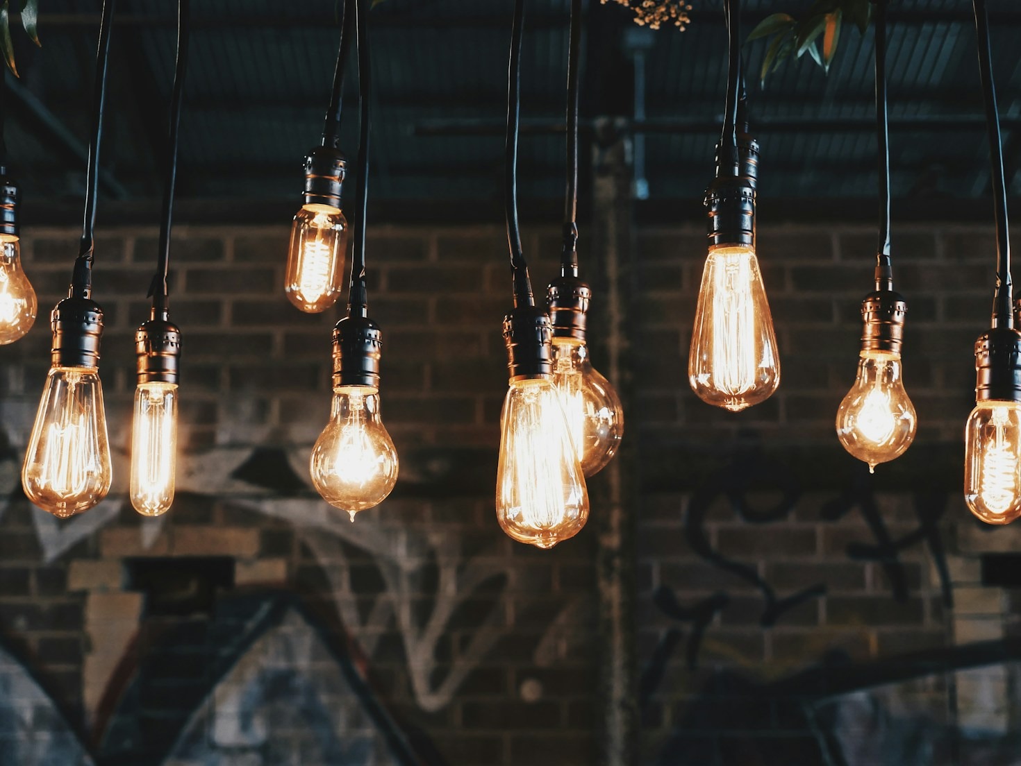 Cultivating Wisdom In A Rapidly Changing World